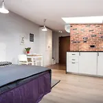 Loft Studio In Krakow Old Town - Ac, Netflix, Prime Lejlighed Kraków