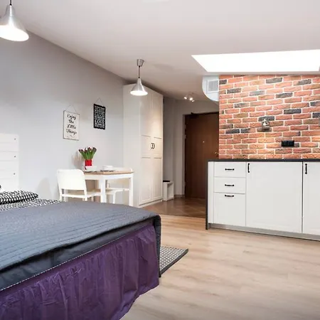 Loft Studio In Krakow Old Town - Ac, Netflix, Prime Apartment Krakow