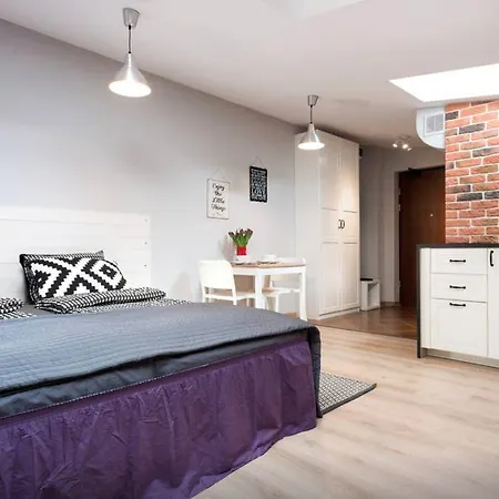 Loft Studio In Krakow Old Town - Ac, Netflix, Prime